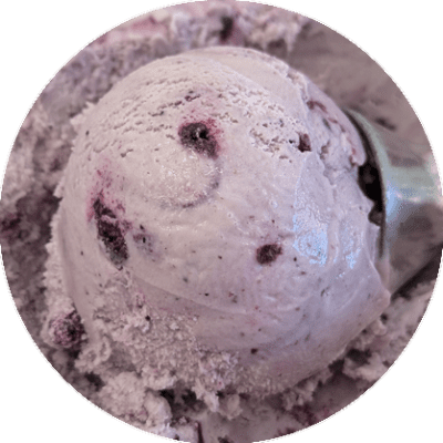 Twice-Cream-Blueberry-Goat-Cheese